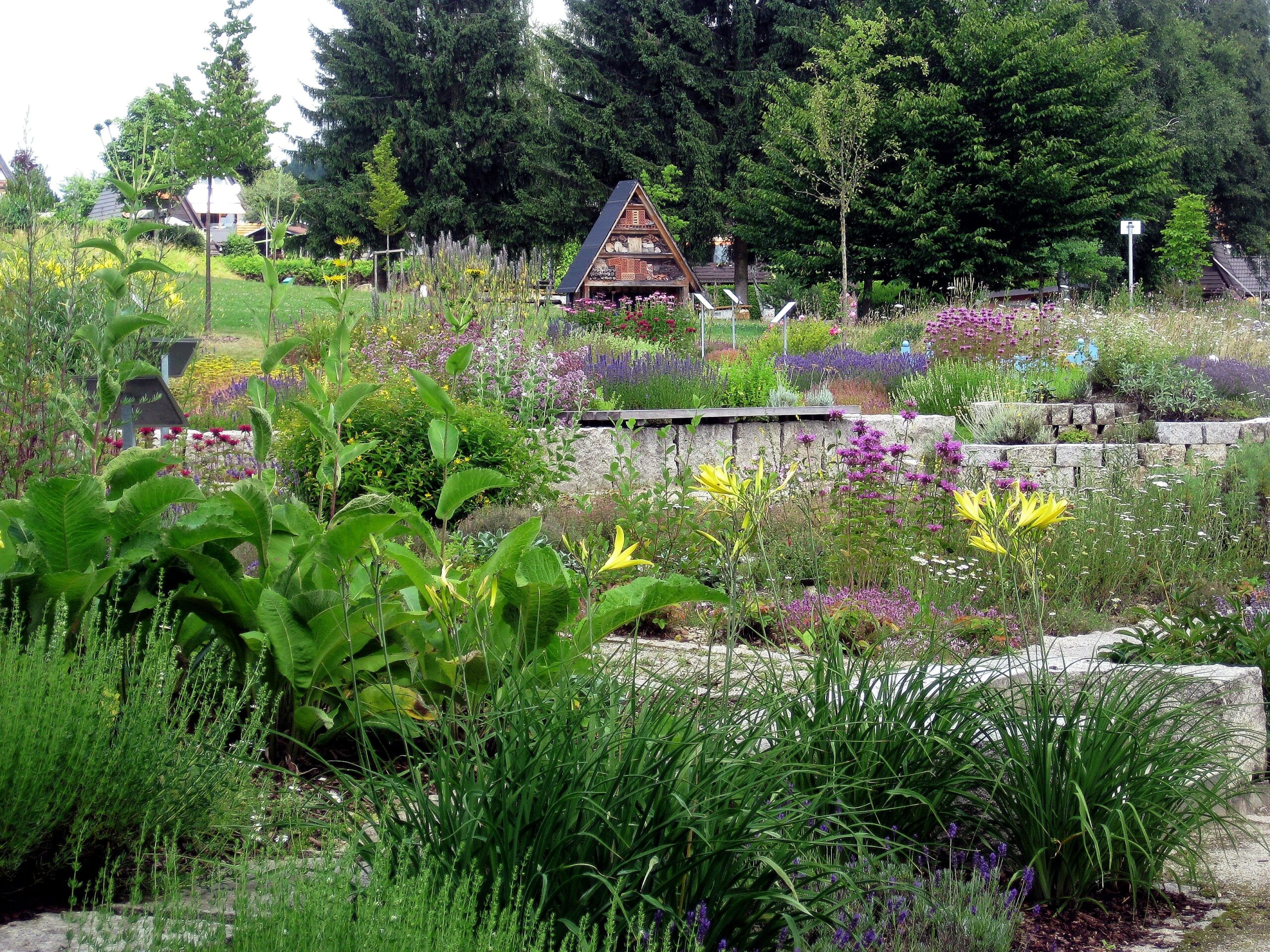 Duftgarten_1